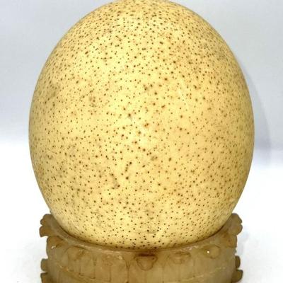 OSTRICH EGG WITH ALABASTER BASE
