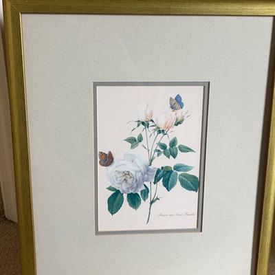 Gold-Framed French Butterfly & Floral-Themed Print