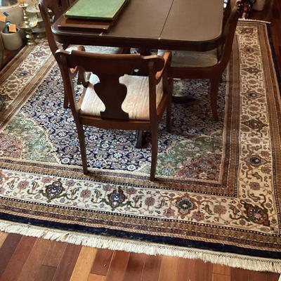 Large Hand Knotted Area Rug