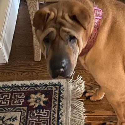 Snickers Says HI!!! 