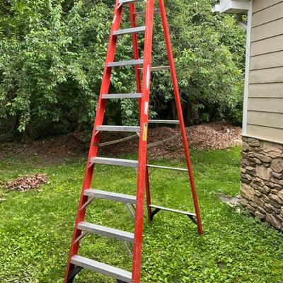 Werner 10 Ft Ladder 