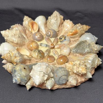 Mosaic Sea Shells Display Decor