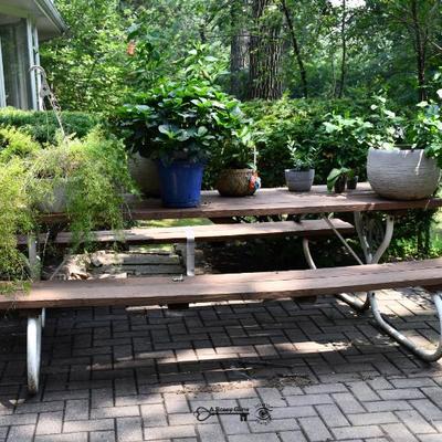 11 back yard 16)