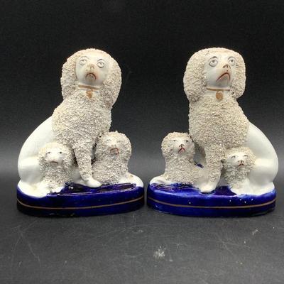 Staffordshire poodles