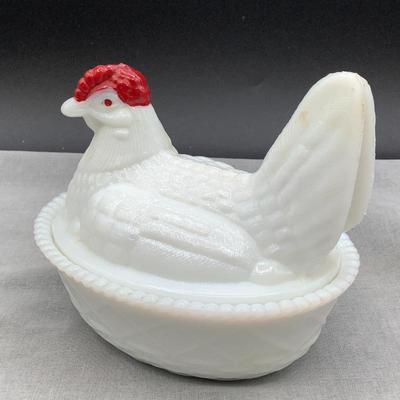 Hen on nest