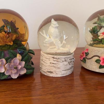 Collection Set Of Bird Snow Globes