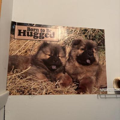 Sale Photo Thumbnail #113