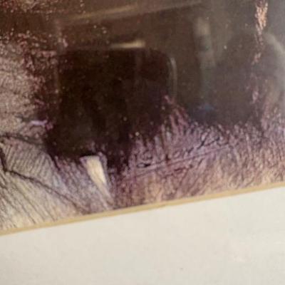 Sale Photo Thumbnail #562