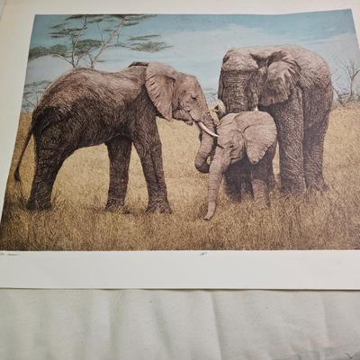 Sale Photo Thumbnail #503