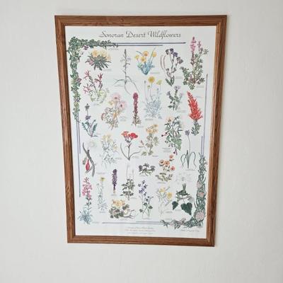 Wall Art/Hanging
