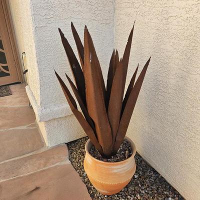 Agave Desert Steel Metal