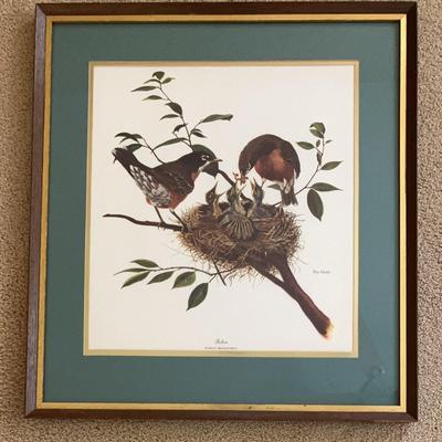 Ray Ham, "Robin" Framed Print