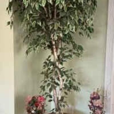 Pc178 faux ficus and arrangements