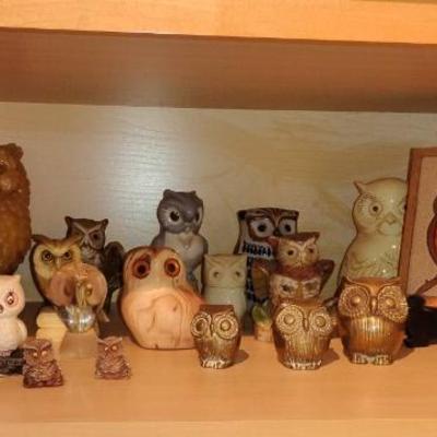 Pc204 owls