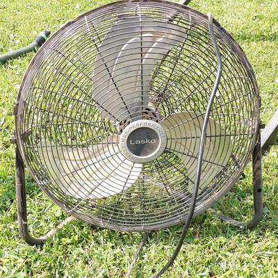 Fan