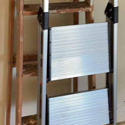 Ladders Lot 
