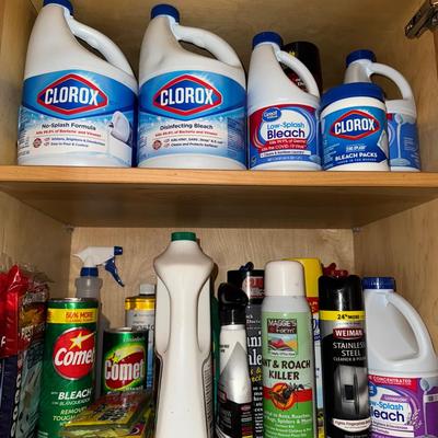 Cleaning House 