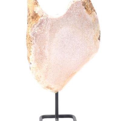 Lot 309 huge dinosaur bone slab section