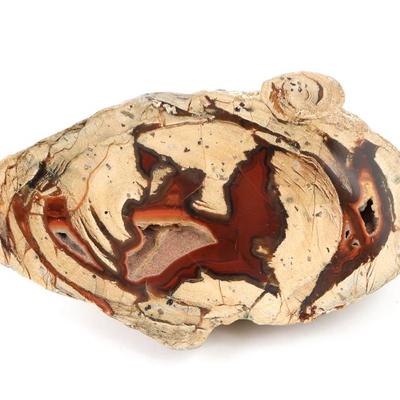 Lot 284 gorgeous cut thunderegg agate & chalcedony