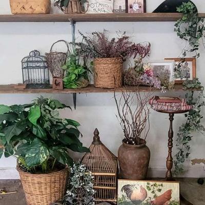 Decorative Plants & Other Household Decor