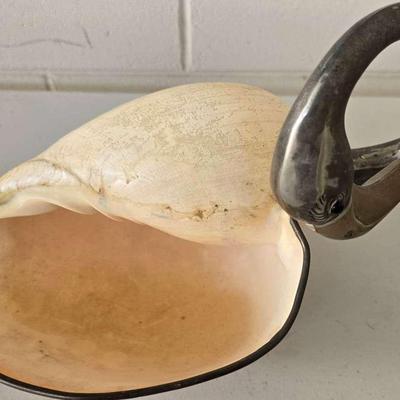 Conch Shell Decor 