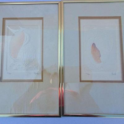 Praphis Limited Edition Original Etching/Embossing Seashell Framed Matted 