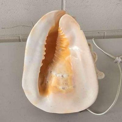 Seashell Light