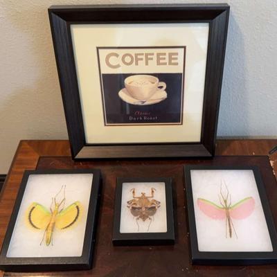 3 Pinned And Framed Insect Taxidermies + Coffee Wall Art