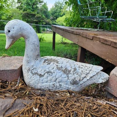 Silly Goose