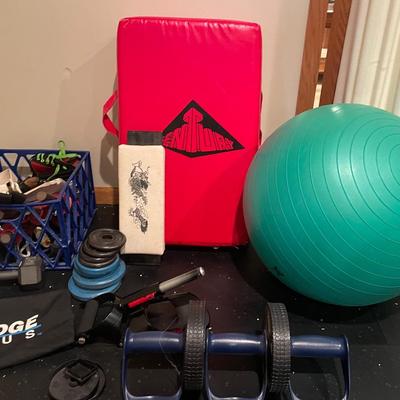 Mystery Lot Gym Equipment