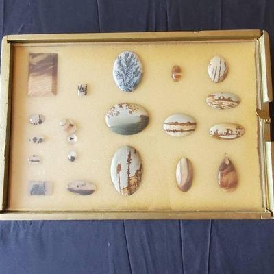 (20) Display Case W/  Decorative Polished Stones For Pendants