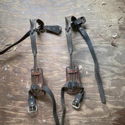 Vintage Buckingham Tree Climbing Spikes