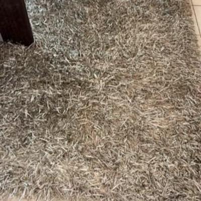 Shag Rug 7.6x9.6