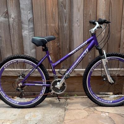 Fragment Terrain Bicycle
