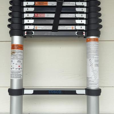 Telescoping Ladder