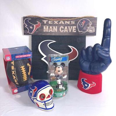 Houston Texans Fans 