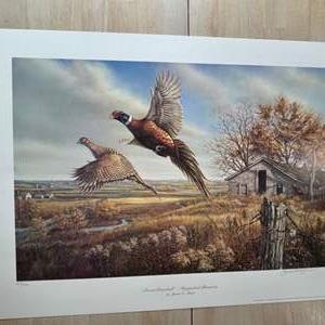 Sale Photo Thumbnail #46