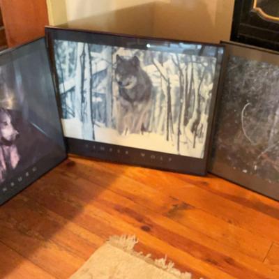 Three Metal-Framed Photographical Wolf Prints