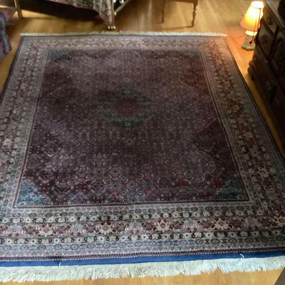 Persian Style Hand Knotted Area Rug
