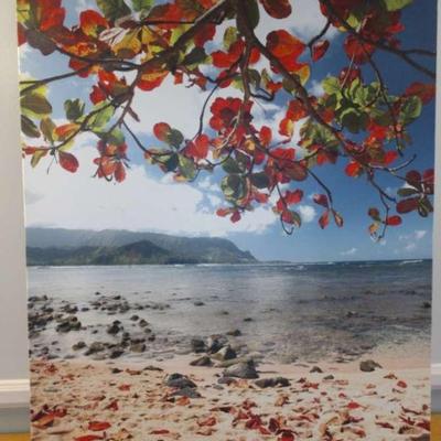 TROPICAL PHOTO ON CANVAS