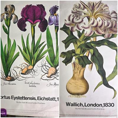 Vintage New York Botanical Garden Print Series Posters - 36x24”