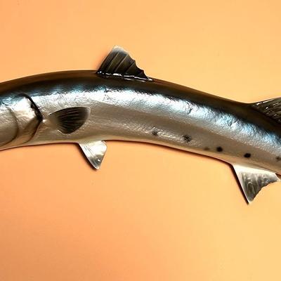Lifelike Barracuda Fiberglass Trophy Fish Replica, Wall Mount - 41x12"