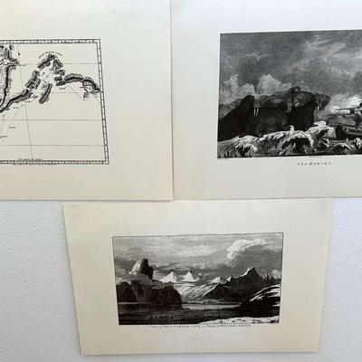 Three Engraved-Style Prints