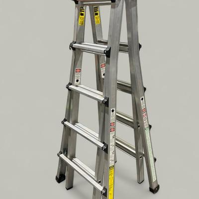 Vulcan Multi-Position Ladder