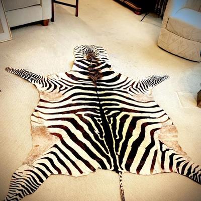 Authentic Zebra Rug