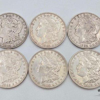 #1372 • (6) 1902-1903 P Mint Morgan Silver Dollars
