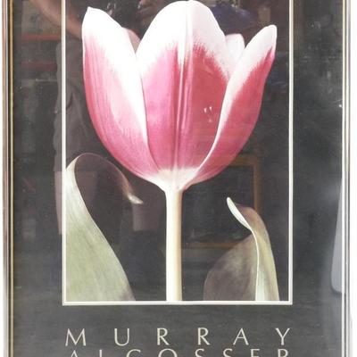 Framed Murray Alcosser Tulip Art Print, 1987