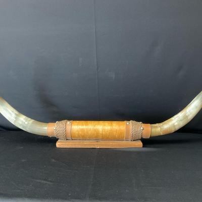 Mounted Steer Horns