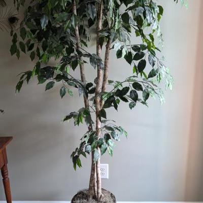 Sale Photo Thumbnail #304