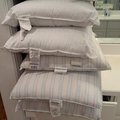 Six Luxury Pillows 